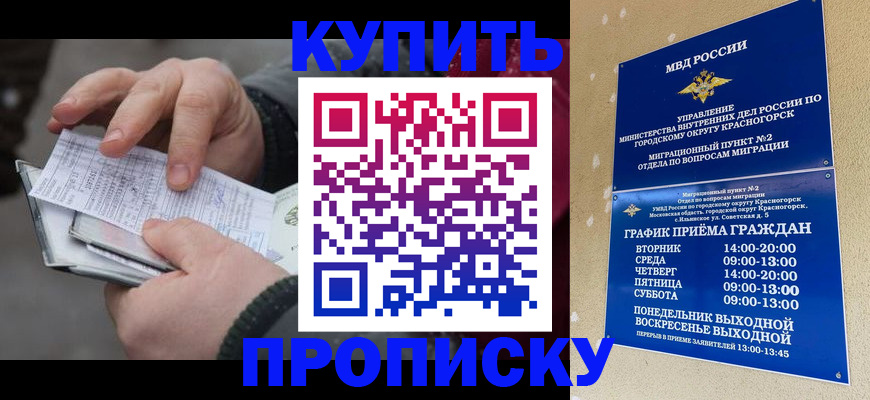 временная регистрация недорого в Шилке